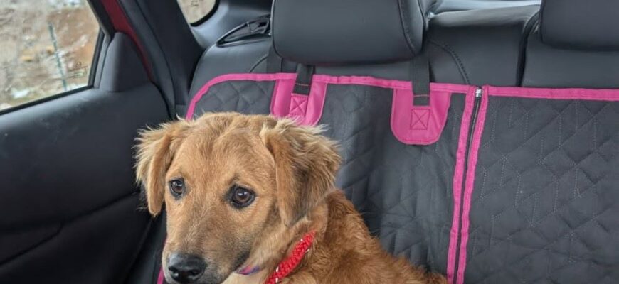 Elena Age: 1 year Gender: Female