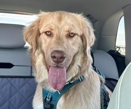 Gemma Age: 9 months Gender: Female