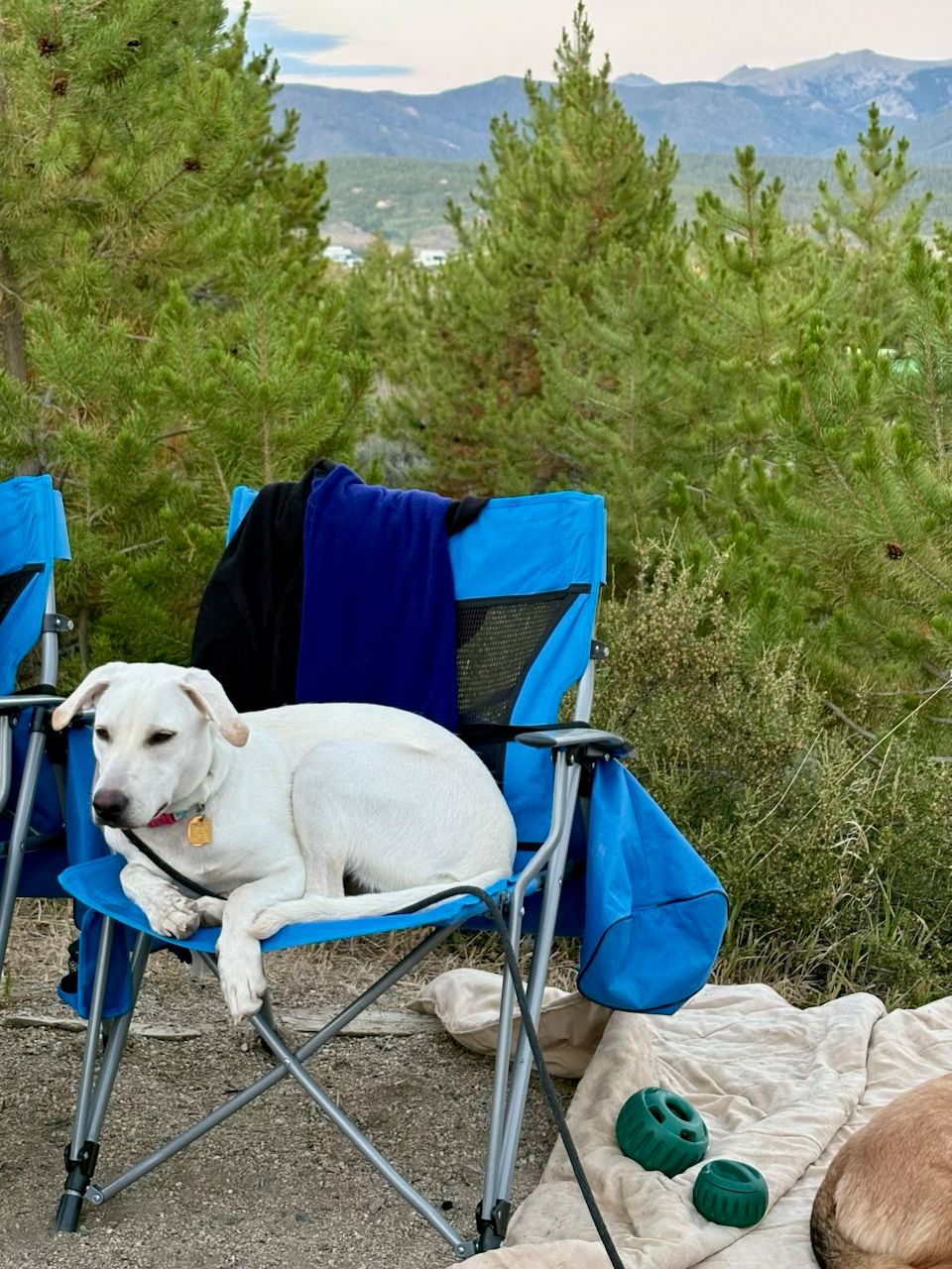 Camper Age: 1 year Gender: Female